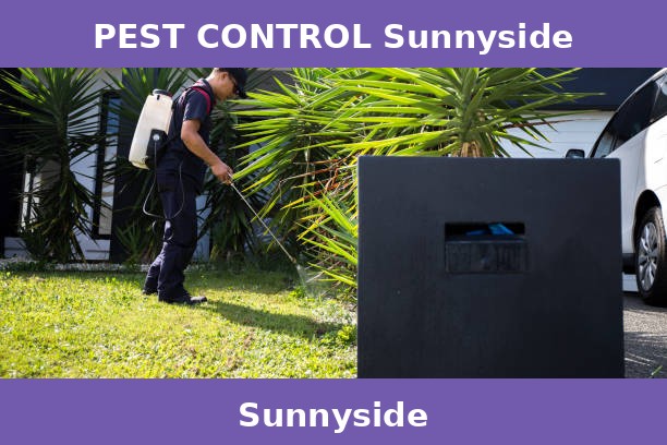 PEST CONTROL Sunnyside